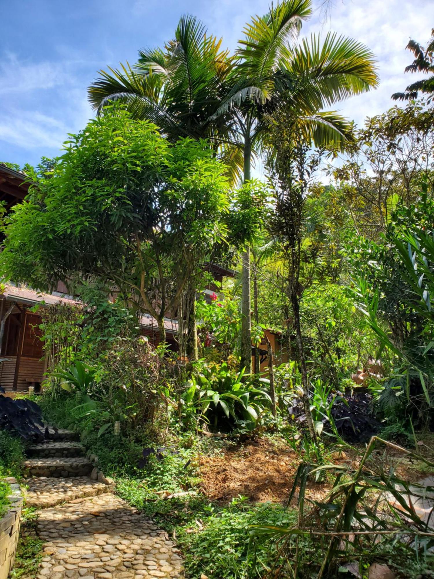 Ritmo Del Rio Villa San Rafael  Exterior photo
